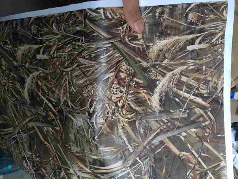 REALTREE CAMO5 3D FOLIE - 152cm x 25m