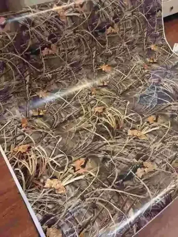 REALTREE CAMO6 3D FOLIE 152cm x 50cm