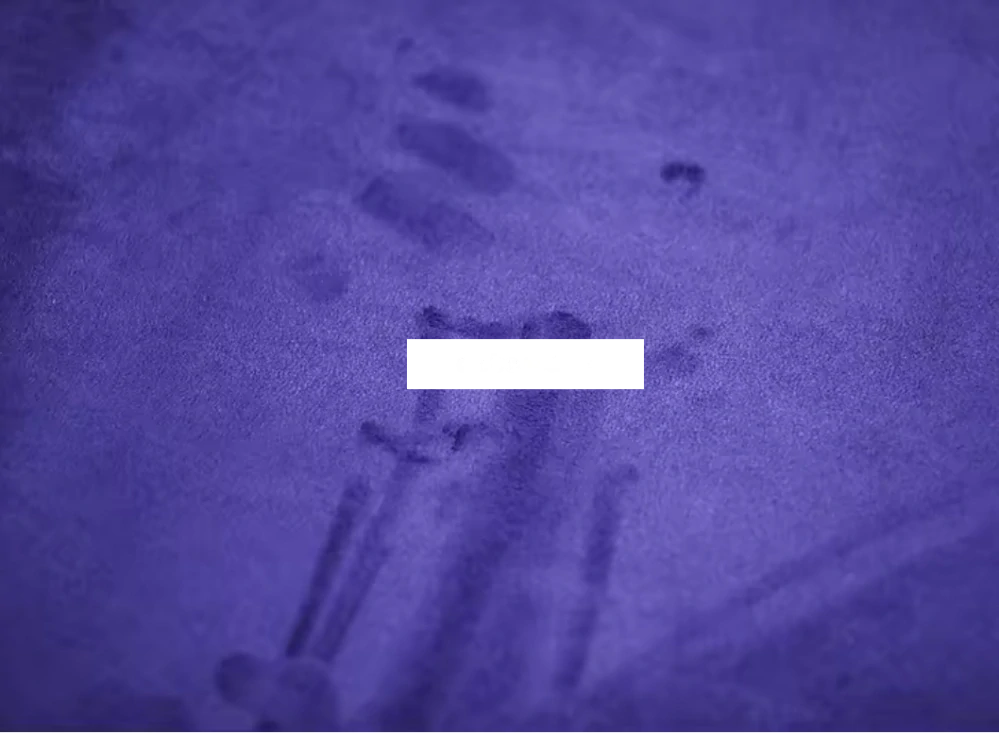 PURPLE SAMOLEPICÍ LÁTKA (IMITACE BROUŠENÉ KŮŽE ALCANTARA) 149cm x 10m